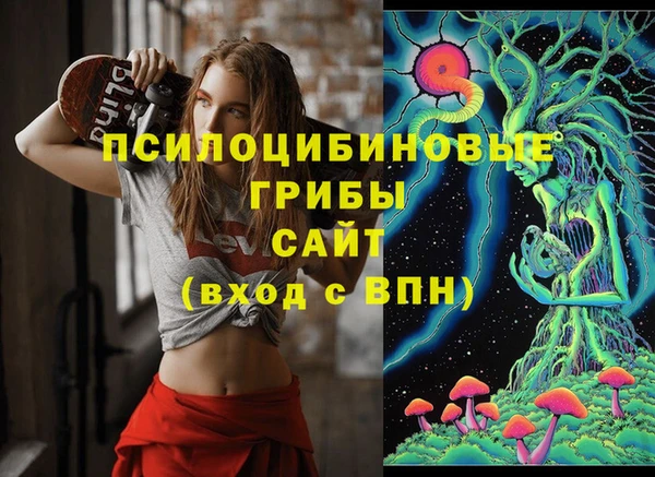 тгк Алзамай