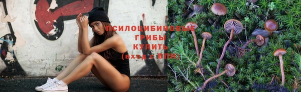 тгк Алзамай